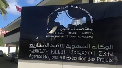 مجلس الحسابات ينبه لتفاوت الموارد البشرية في وكالات تنفيذ المشاريع الجهوية